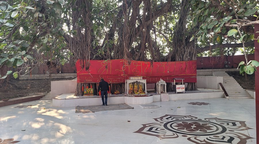 Vietnamese Temple bodhgaya